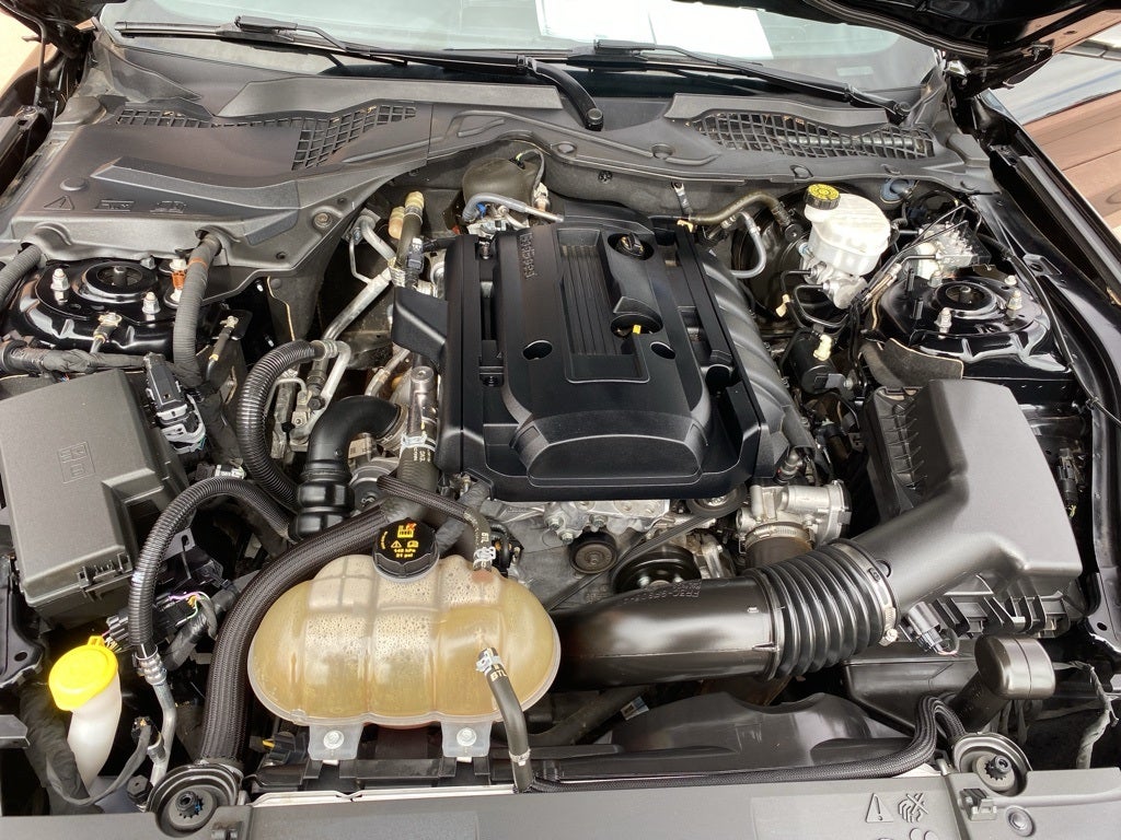 2019 Ford Mustang EcoBoost